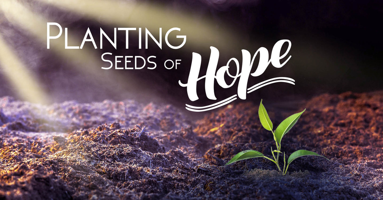 Planting Seeds of Hope