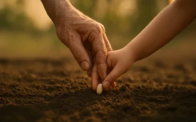 Raising New Timothies